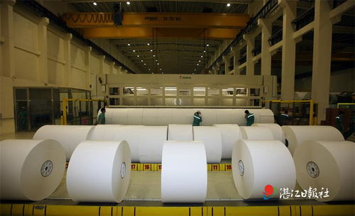 晨鳴紙業 匠心智造鑄就卓越，技術開發滿載榮譽